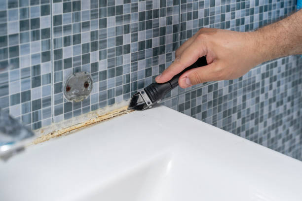 Best Emergency Mold Removal  in Keewatin, MN